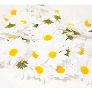 Streu-Margeriten, 5,5 cm Ø, 50 Stück