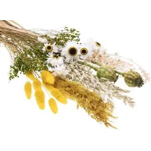 Trockenblumen-Sortiment, gelb, grün