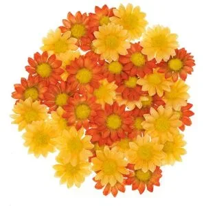Streublüten, orange-gelb, 4 cm Ø, 40 Stück