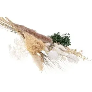 Trockenblumen-Sortiment 