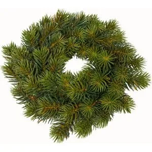 Tannenkranz, ca. 20 cm Ø