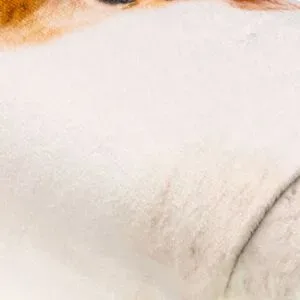Wellness-Fleece-Digitaldruck 