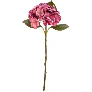 Hortensie, rosé, 45 cm