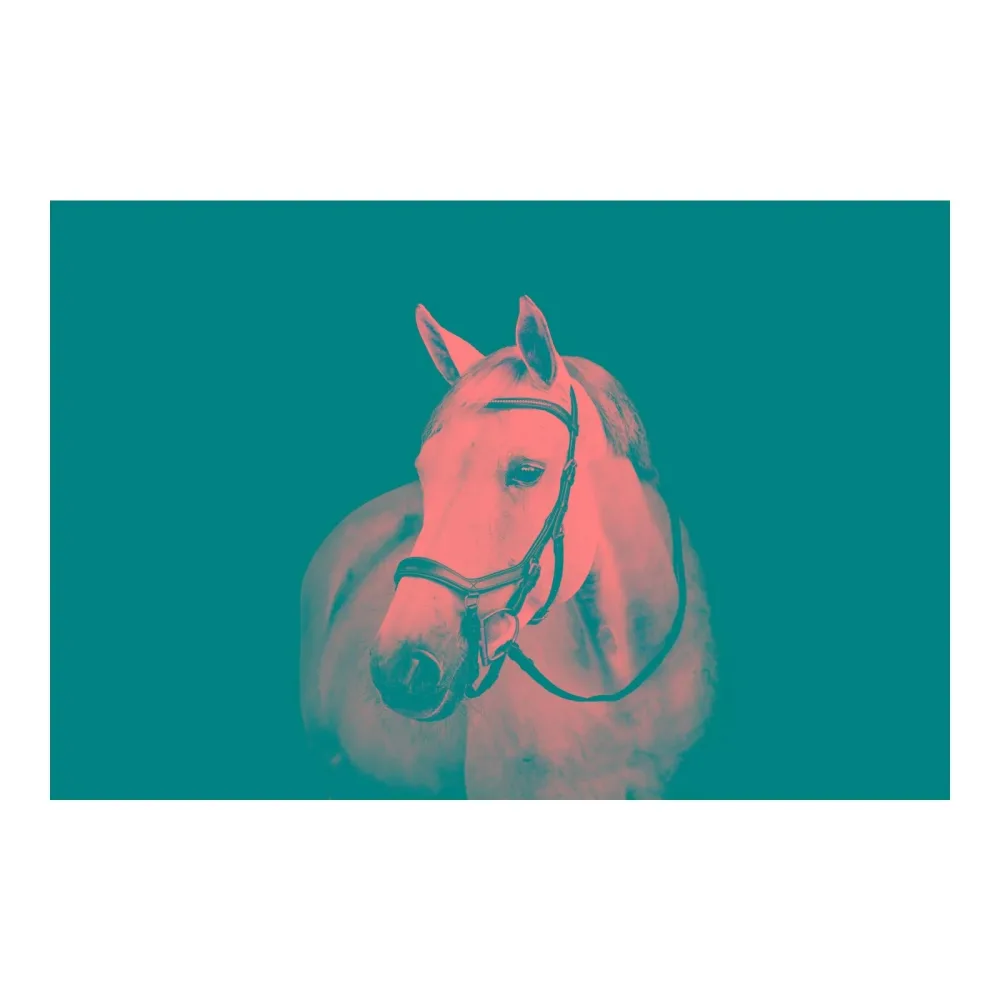 Horseware Zaum Micklem Diamante - Schwarz -  Grösse Pferd: Pony