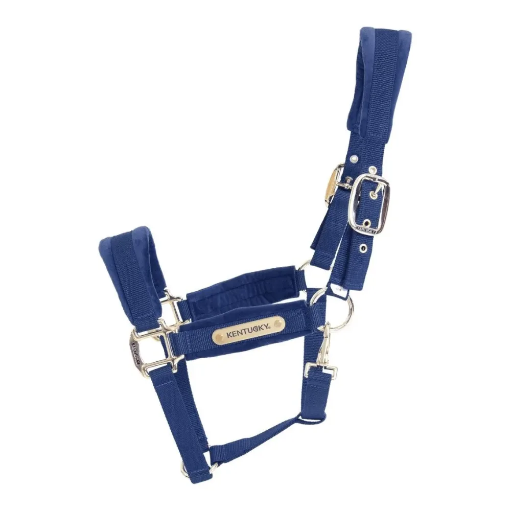Kentucky Halfter Velvet - Navy -  Grösse Pferd: Shetland Pony, Farbe: Navy