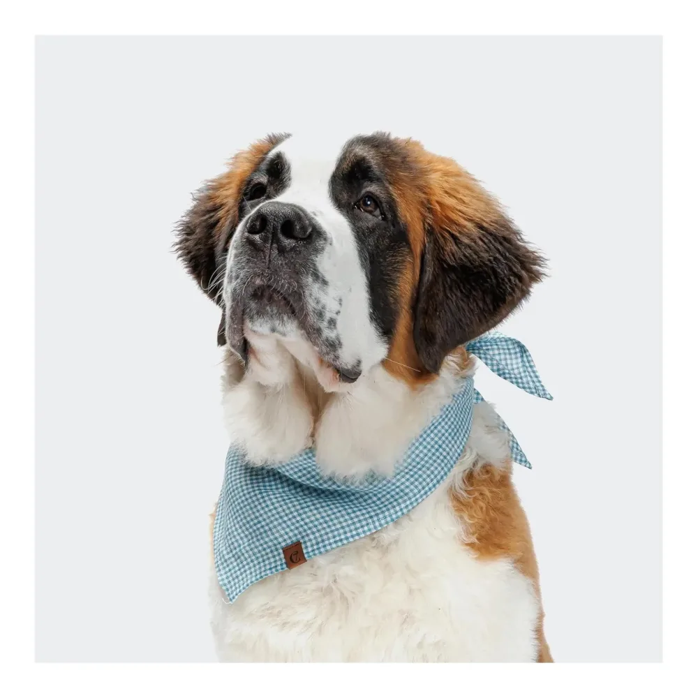 Cloud 7 Hundehalstuch Bandana Mini Check - Blue -  Grösse: S