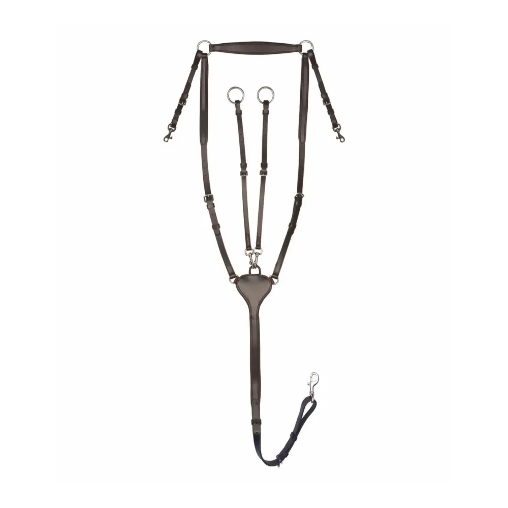 Vorderzeug Professional X-Line - Braun -  Farbe: Braun, Grösse: WB