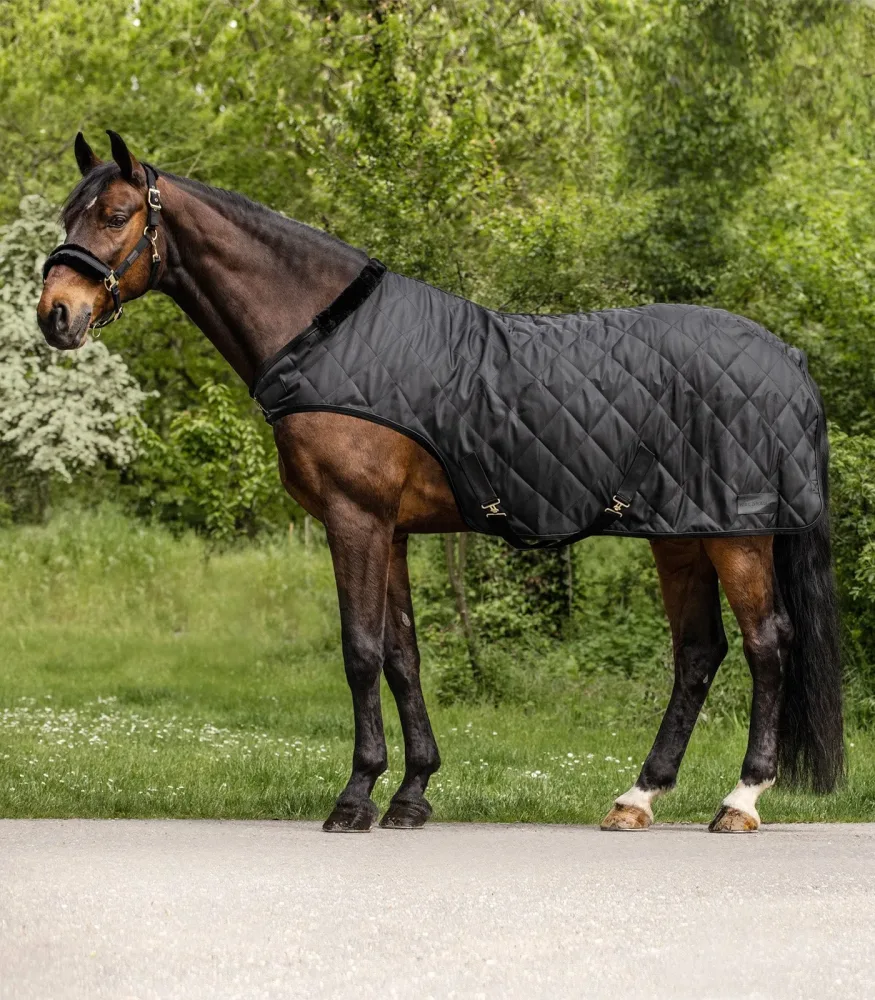 Waldhausen Führmaschinendecke Exclusive 50g - Schwarz -  Grösse Pferdedecke: 125 cm, Farbe: Schwarz