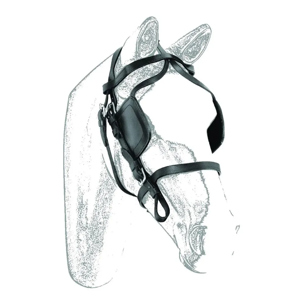 Umbria Equitazione Fahrzaum - Schwarz -  Grösse Pferd: Cob
