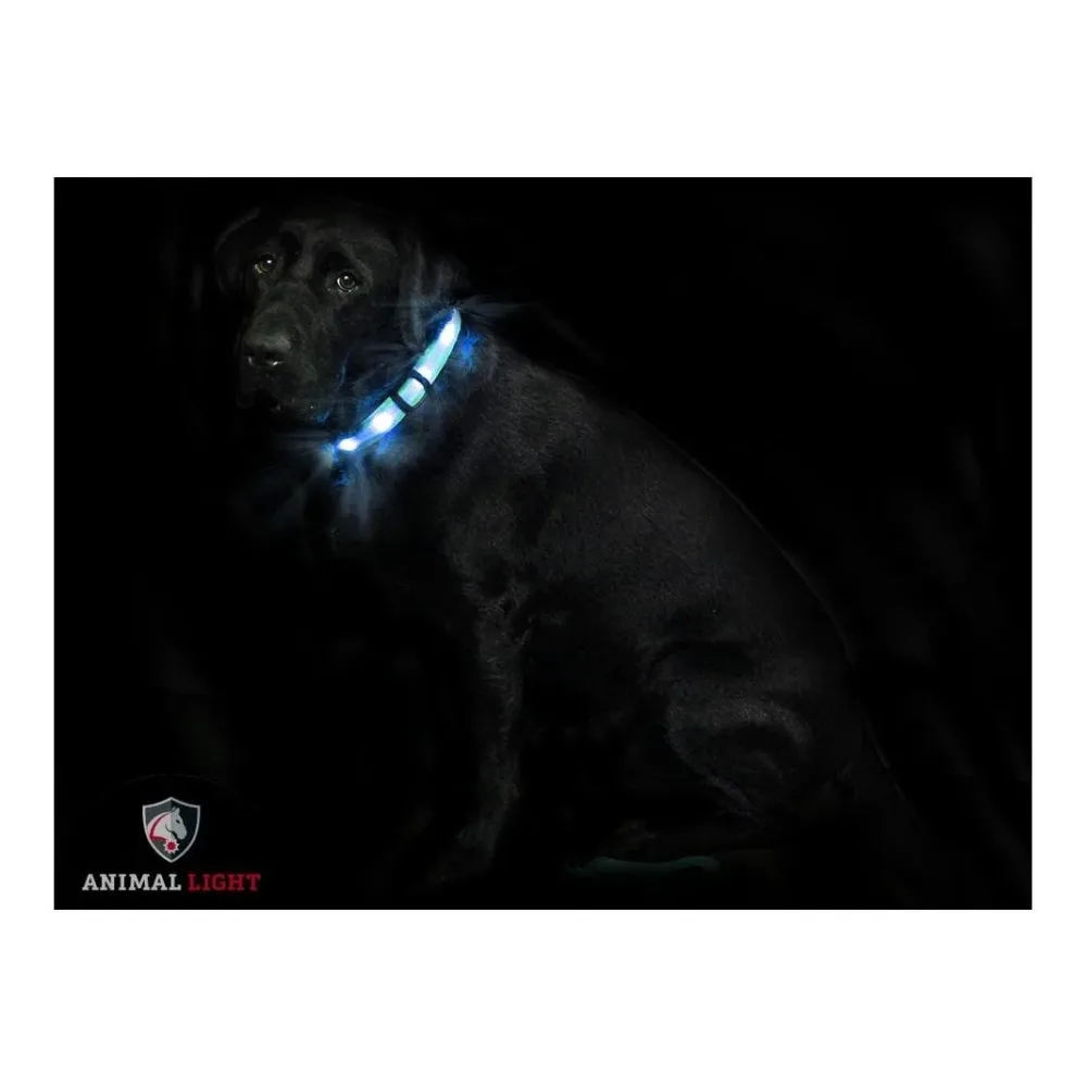 Animal Light Leucht - Hundehalsband 