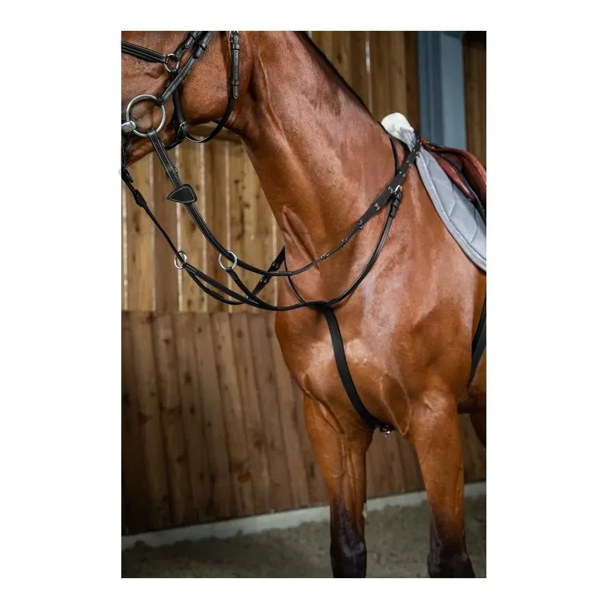 Dy'on Gleitendes Ringmartingal Working Collection - schwarz Grösse Pferd: Cob