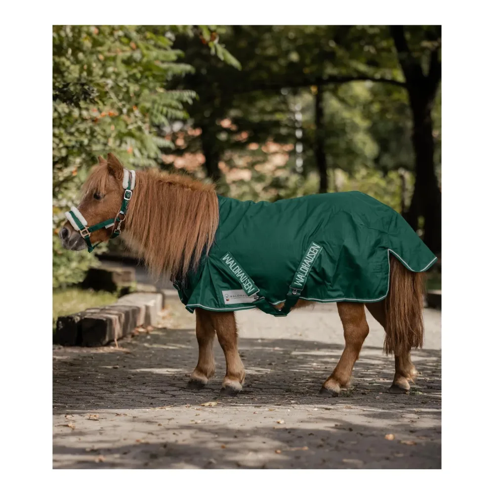 Waldhausen Regendecke für Shettys - tannengrün Farbe: Tannengrün, Grösse: 70 cm