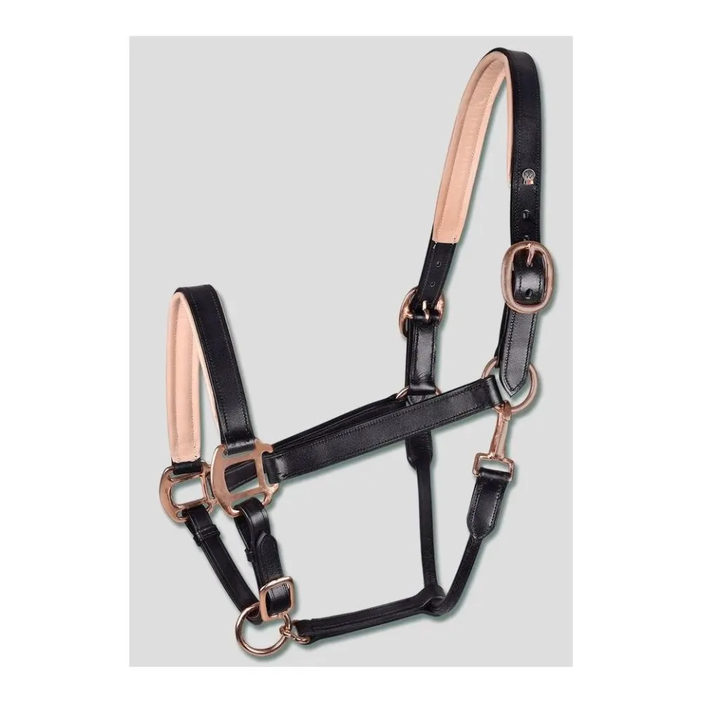 X-Line Lederhalfter Rosé - schwarz Grösse Halfter: WB