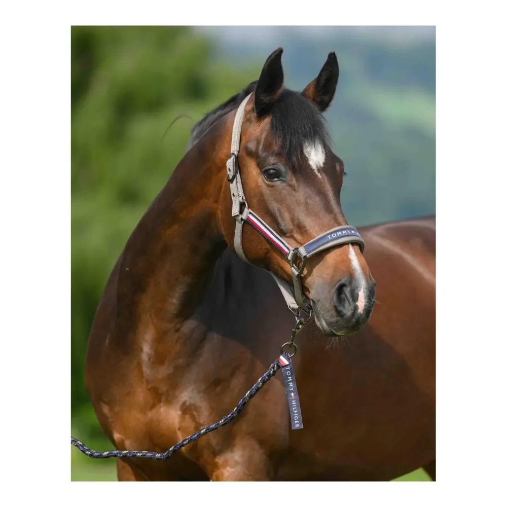 Tommy Hilfiger Equestrian Yale Set Halfter Führstrick - Ash -  Grösse: Cob, Farbe: Ash