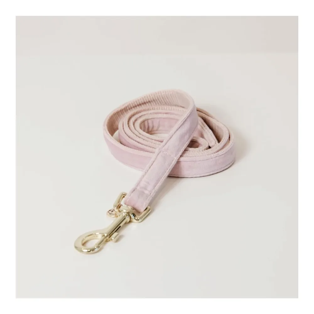 Kentucky Dogwear Hundeleine Velvet - Soft Rose -  Farbe: Soft Rose, Länge: 120 cm