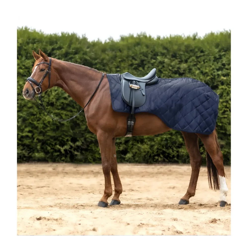 Waldhausen Nierendecke Exclusive - Nachtblau -  Farbe: Nachtblau, Grösse: Pony