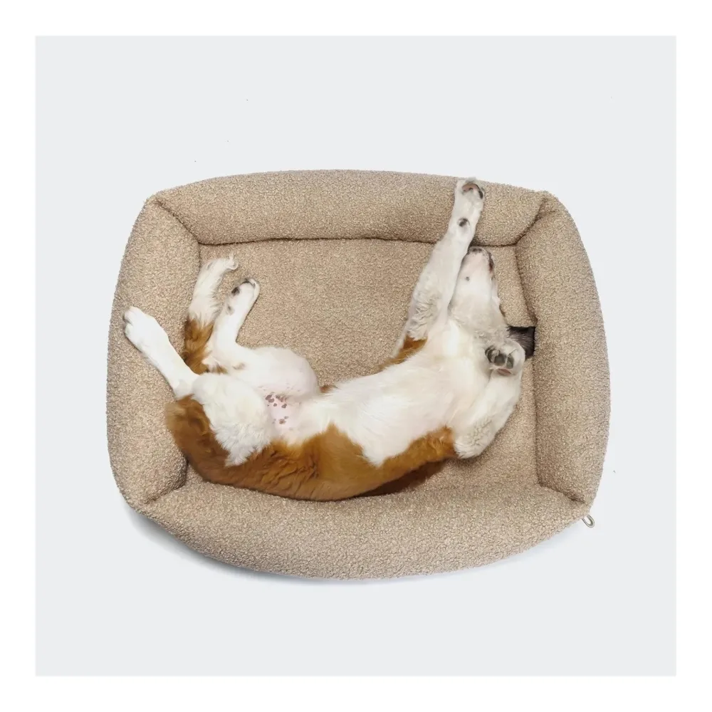 Cloud 7 Hundebett Sleepy Deluxe - Curl Cream -  Grösse: L