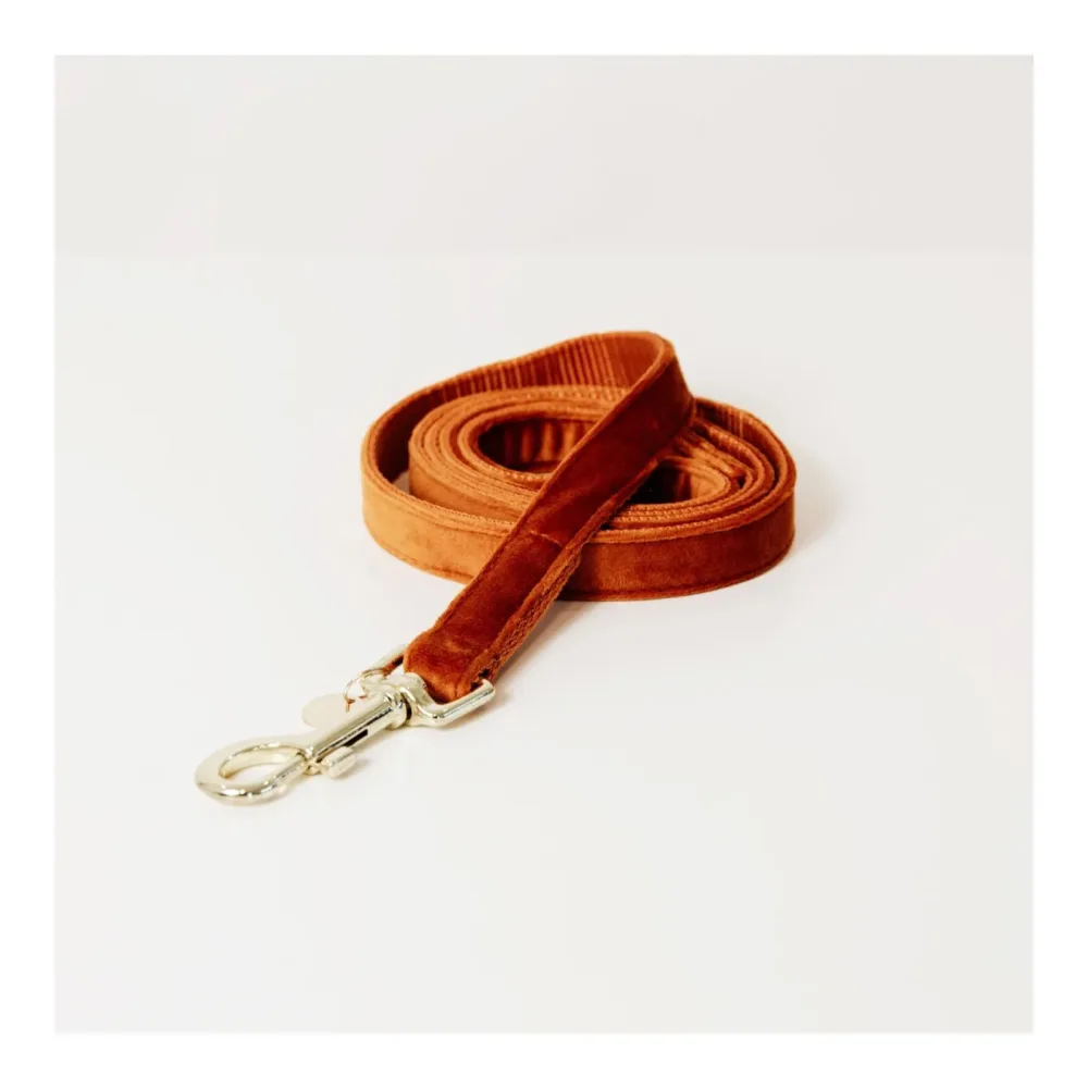 Kentucky Dogwear Hundeleine Velvet - Orange -  Länge: 120 cm, Farbe: Orange