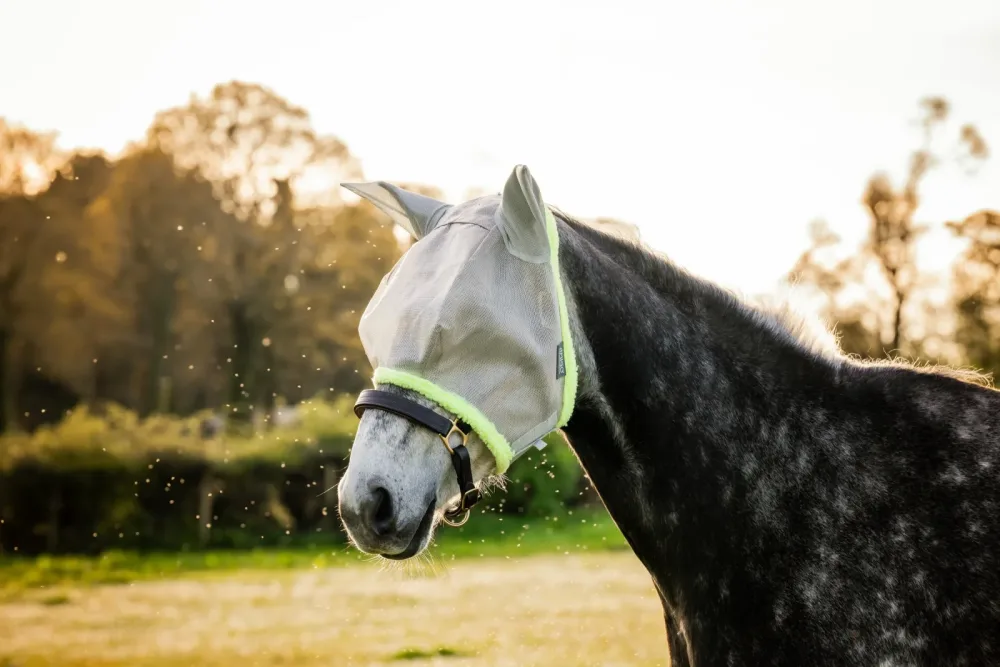 Horseware Fliegenmaske Amigo - Silver/Lime -  Grösse Gamaschen: Pony