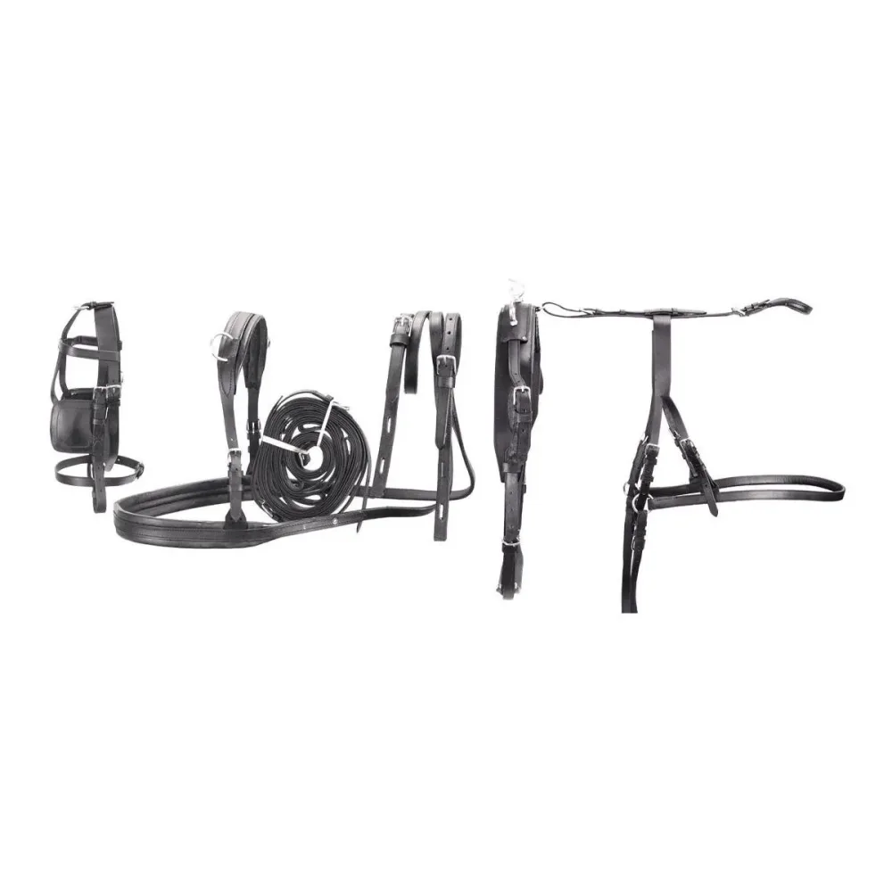 Umbria Equitazione Kutschgeschirr Set Leder Basic - für Ponys - Schwarz -  Grösse Pferd: Mini Mini Shetty