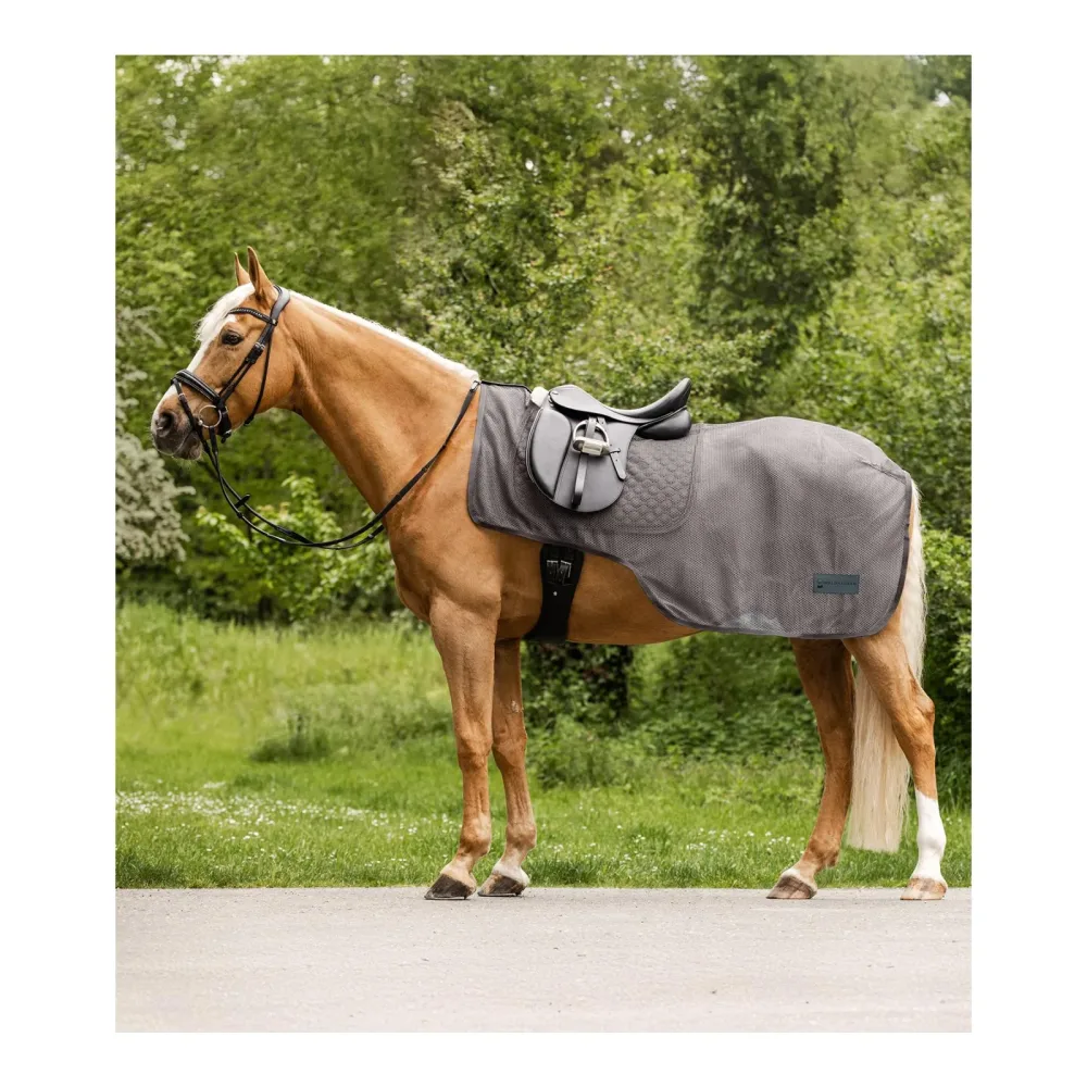 Waldhausen Fliegenausreitdecke Comfort - grau Grösse Pferdedecken: 145 cm