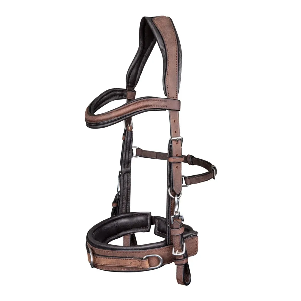 Waldhausen Lederkappzaum Anatomic - Braun -  Farbe: Braun, Grösse: Cob