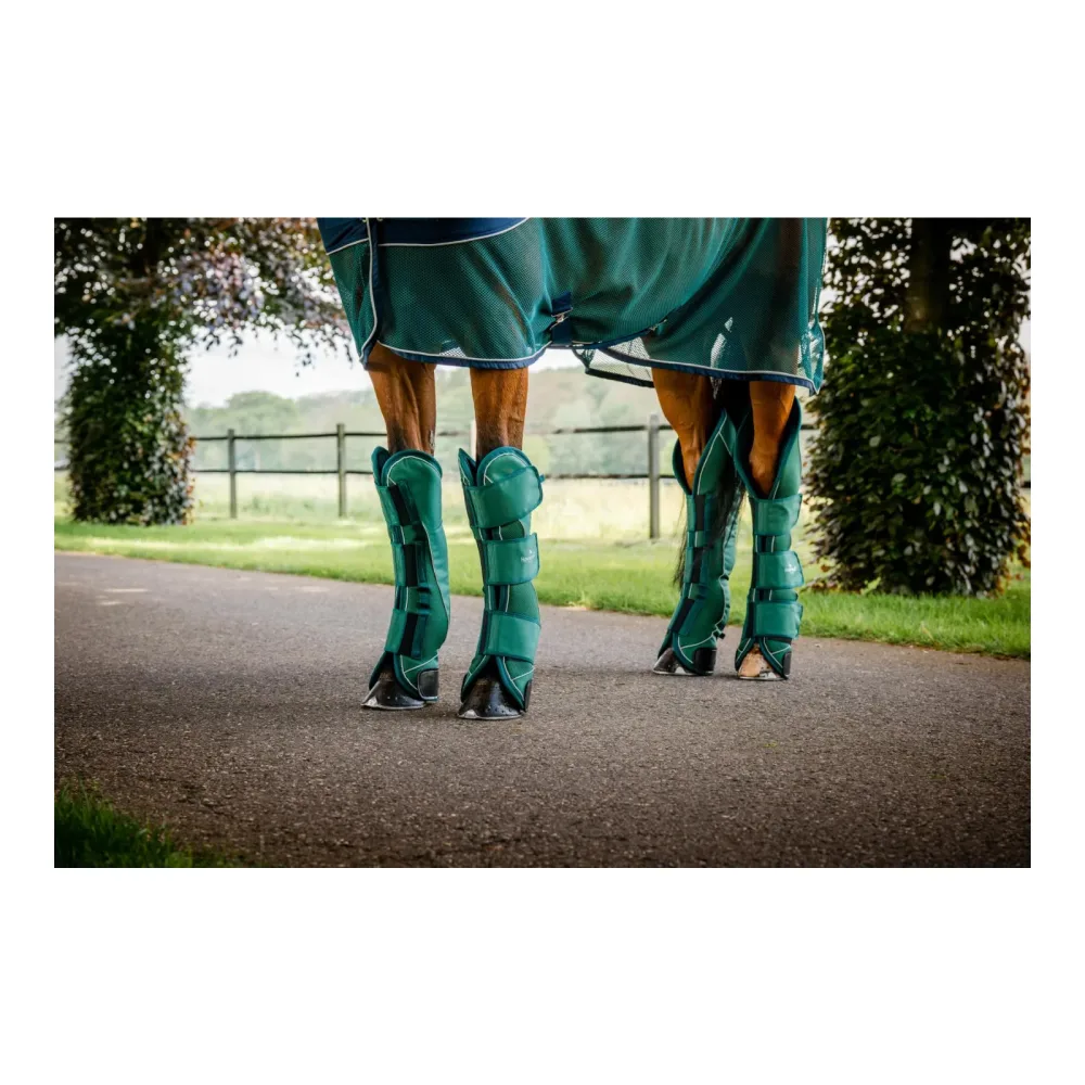 Horseware Transportgamaschen Signature - Hunter Green -  Farbe: Hunter Green, Grösse Gamaschen: Full
