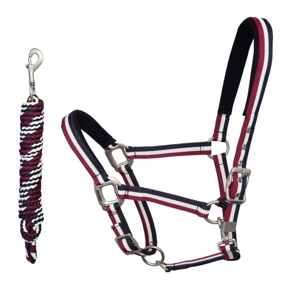 Kingsland Halfter mit Strick Classic - multicolour - Multicolor -  Farbe: Multicolor, Grösse Halfter: Pony