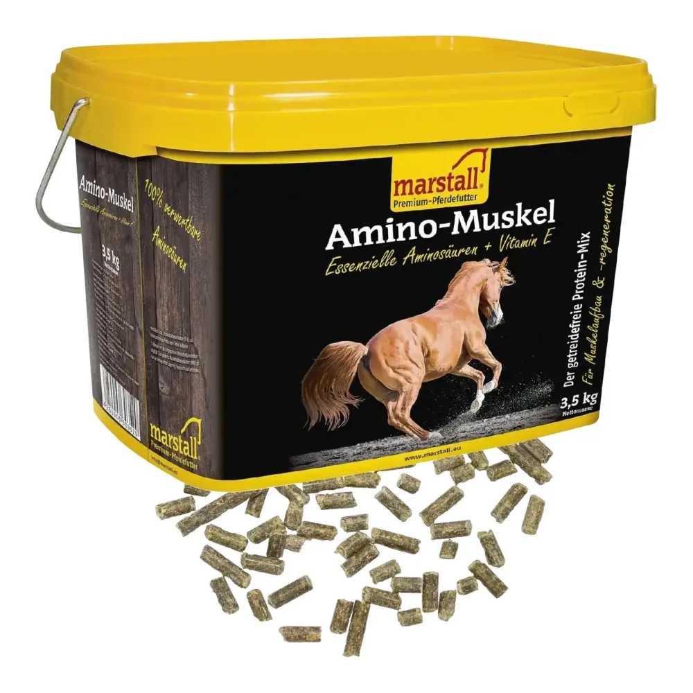 Marstall Amino Muskel Plus - Schwarz-Gelb -  Inhalt: 3,5 kg