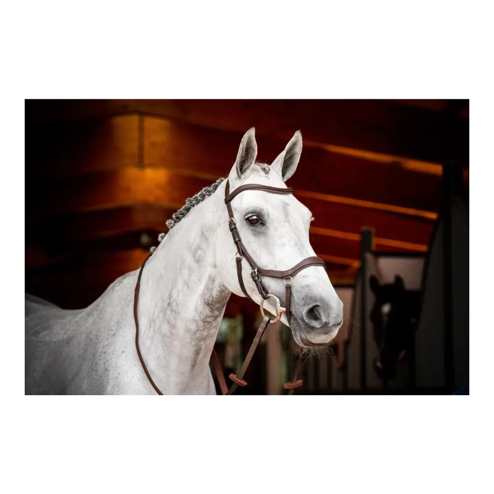 Horseware Zaum Micklem3 Competiton ohne Zügel - Braun -  Farbe: Braun, Grösse: Cob