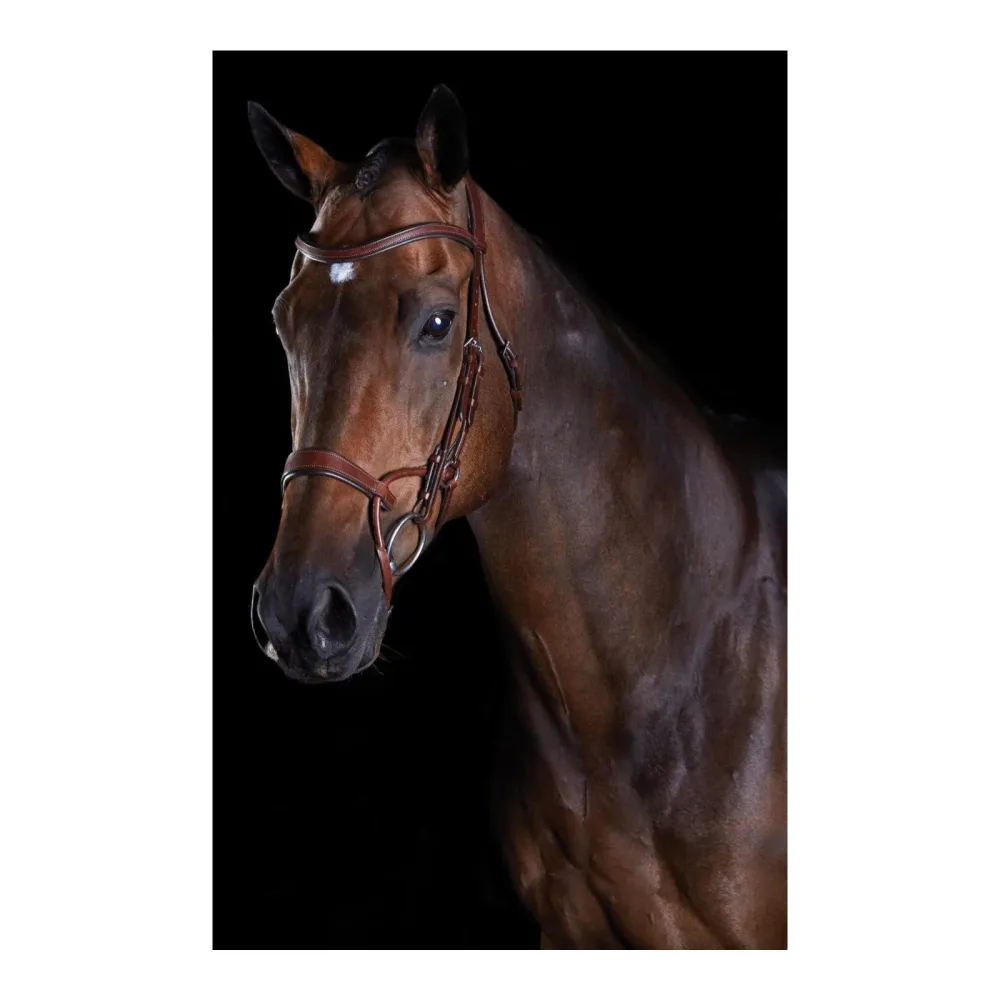 Weatherbeeta Zaum Comfitec Training Bridle - Braun -  Grösse Zaum: Pony, Farbe: Braun