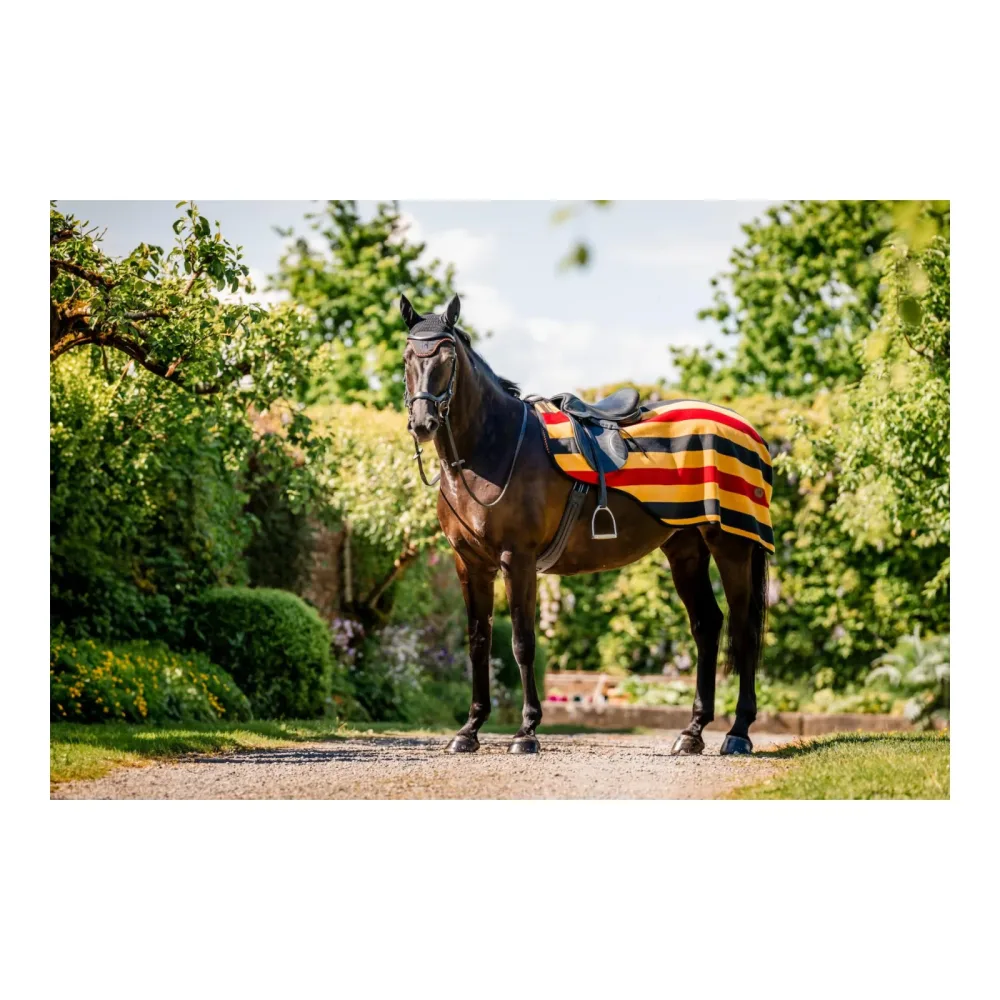 Horseware Newmarket Exercise Sheet - Witney Gold -  Farbe: Witney Gold, Grösse Pferd: L