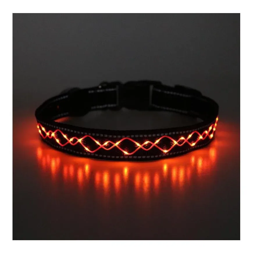 Animal Light Leucht-Hundehalsband 