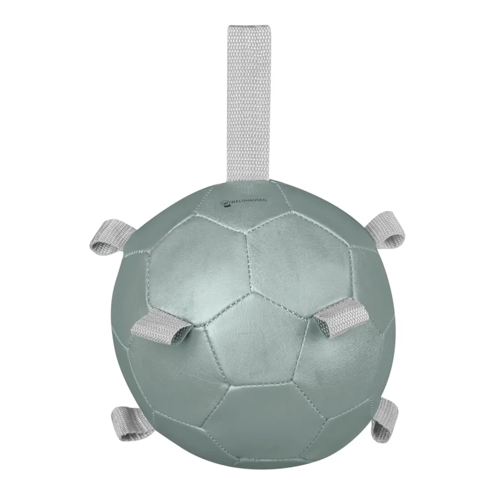 Waldhausen Karottenball - Mistel -  Farbe: Mistel, Grösse: One Size