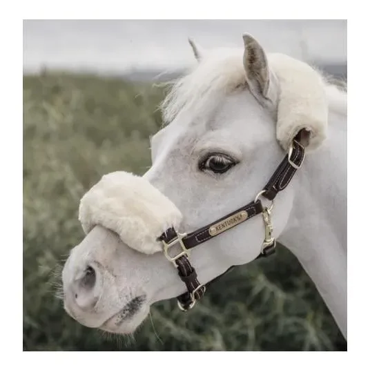 Kentucky Pony Lederhalfter - braun Grösse Halfter: Pony
