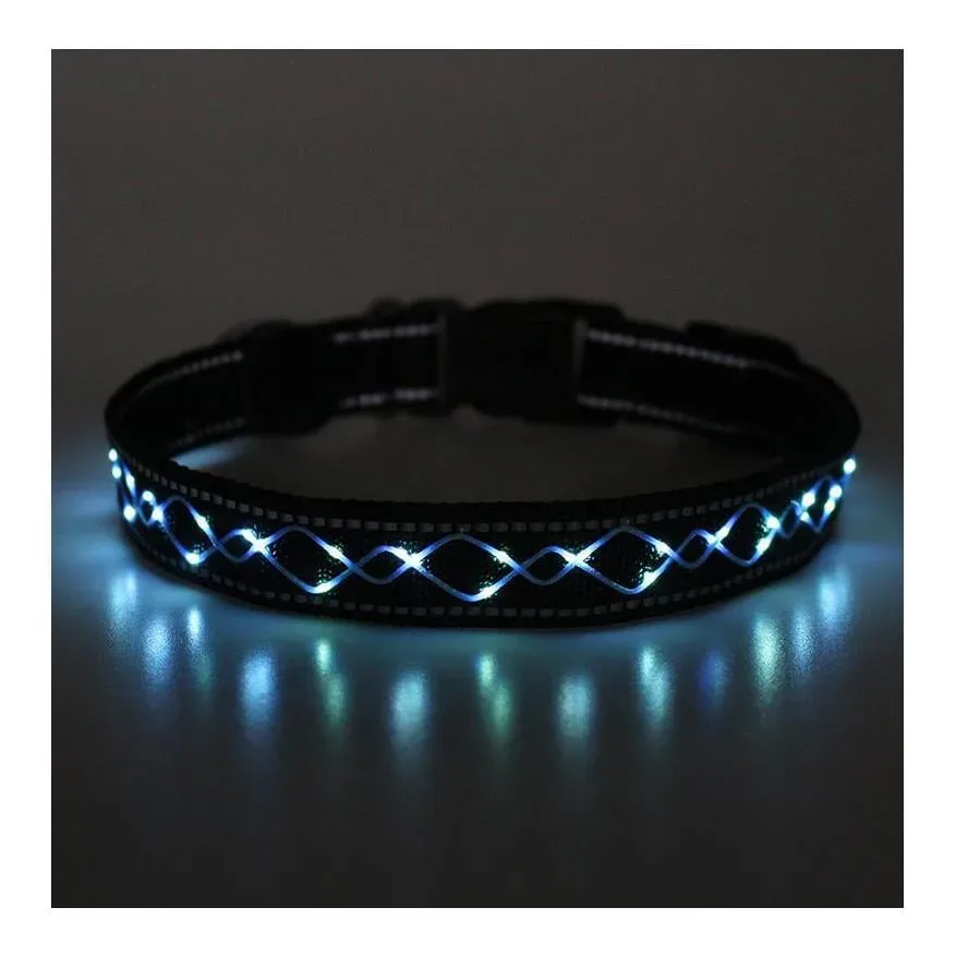 Animal Light Leucht-Hundehalsband 
