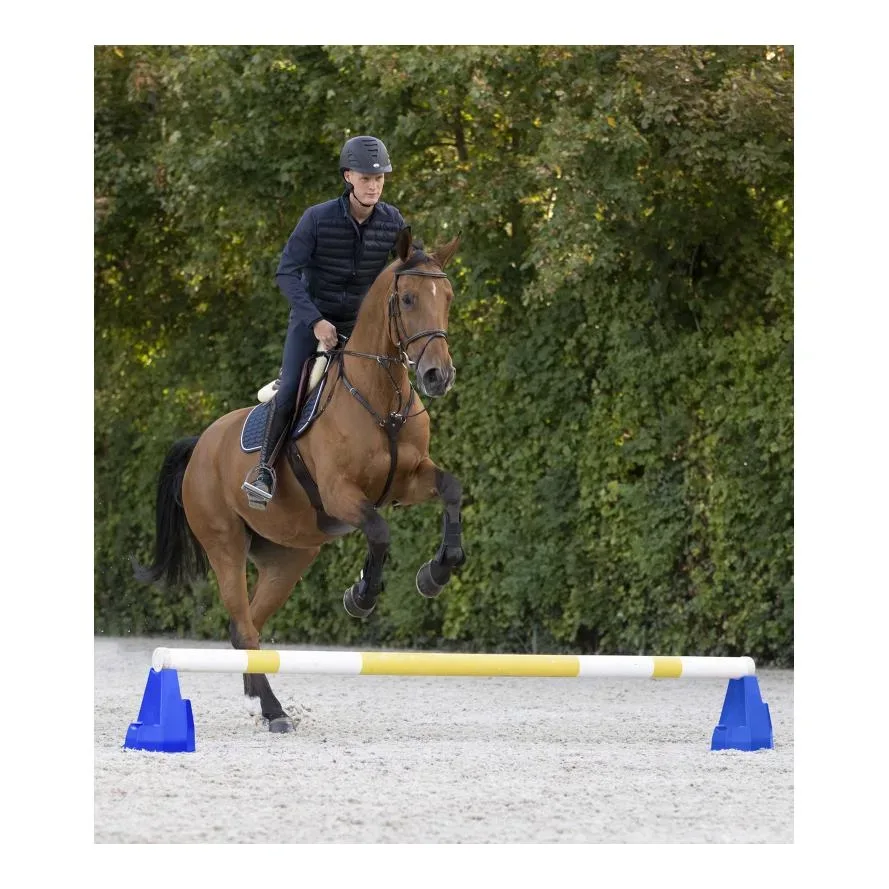 Waldhausen Cavaletti-Block - Blau -  Grösse: 30 x 30 x 35 cm, Farbe: Blau