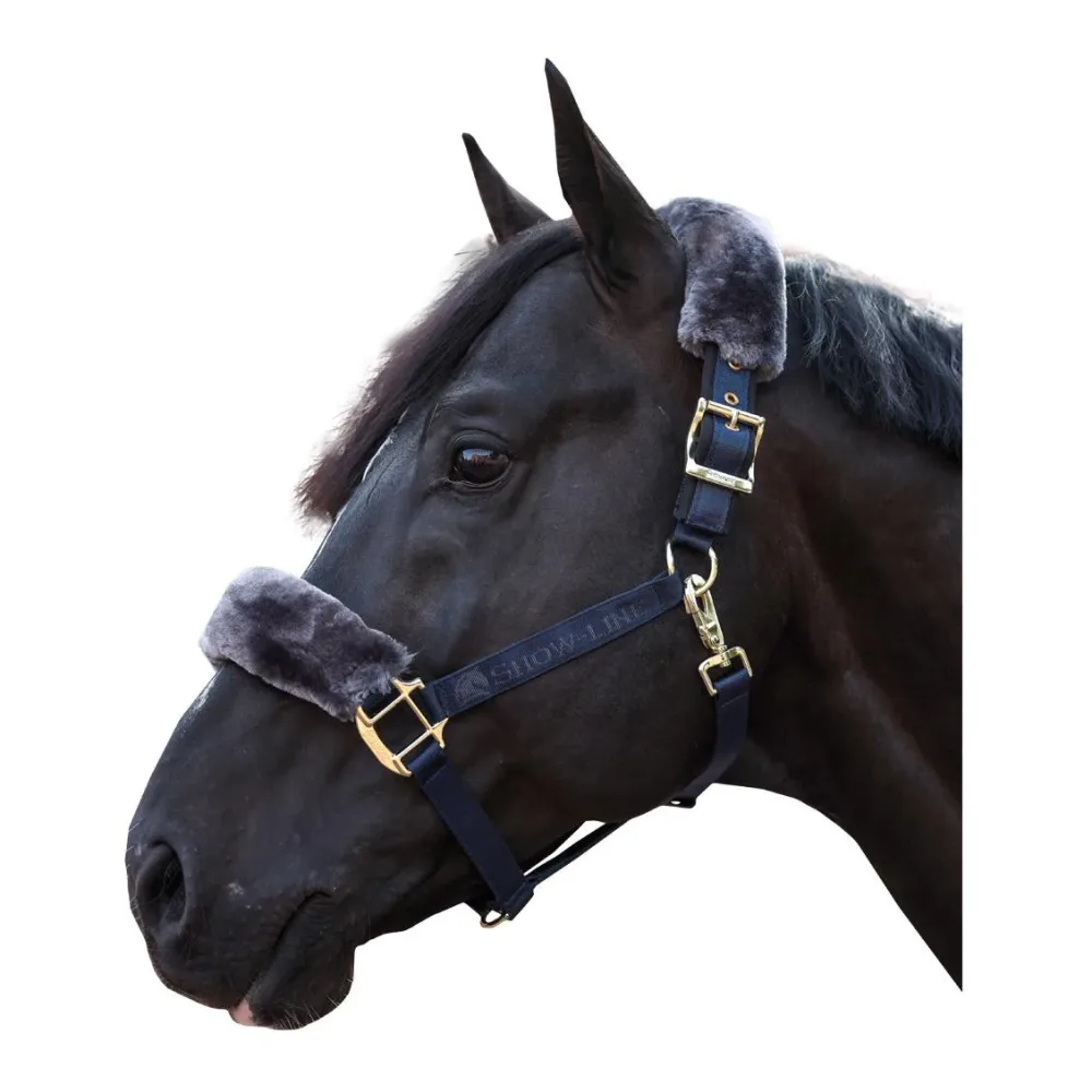 Bucas Halfter Show-Line - Navy/Grey -  Grösse Halfter: Pony