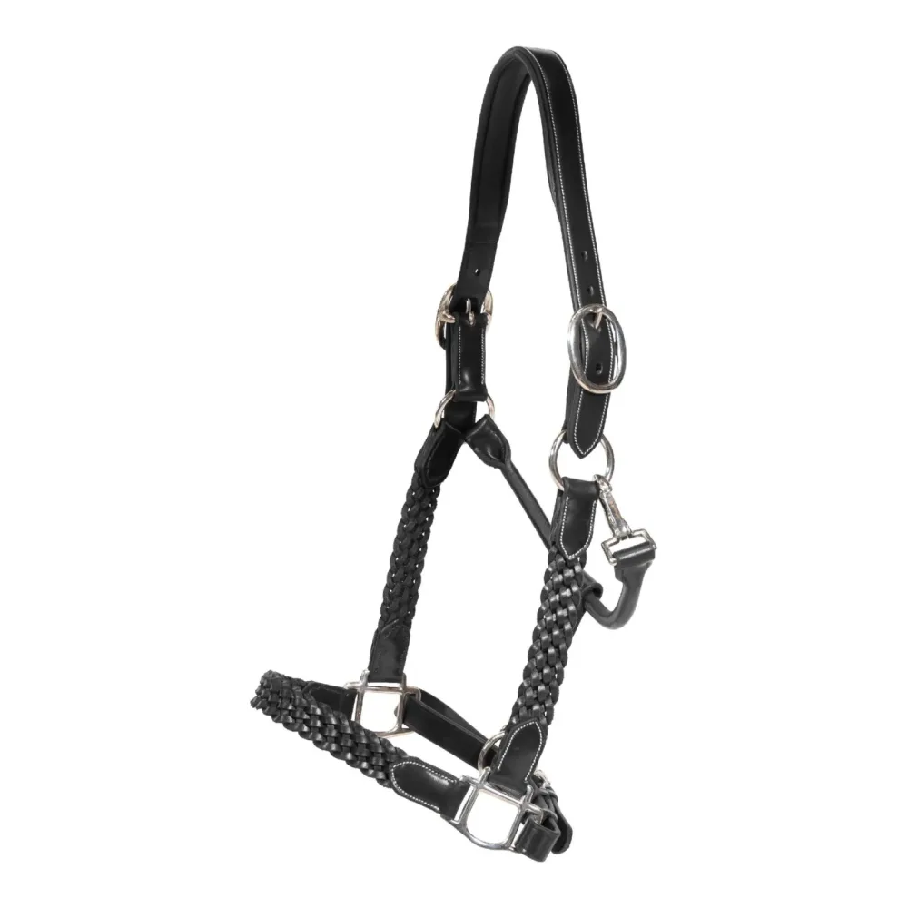 Dy'on Halfter Plaited - Schwarz -  Grösse Zaum: Cob, Farbe: Schwarz