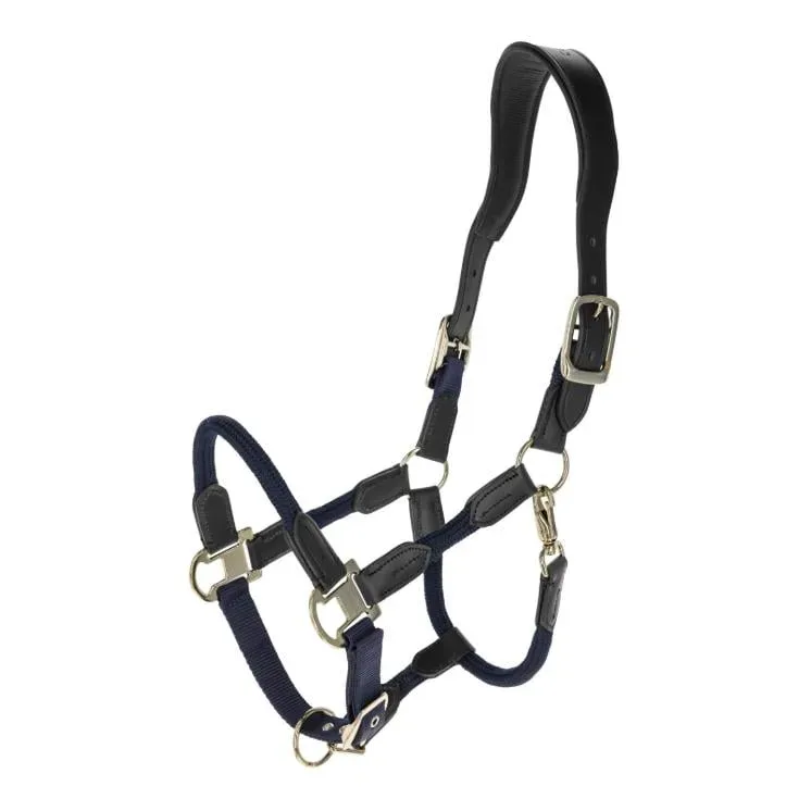 Covalliero Halfter Cordano Deluxe F/S 2026 - Dunkelblau -  Grösse: Pony