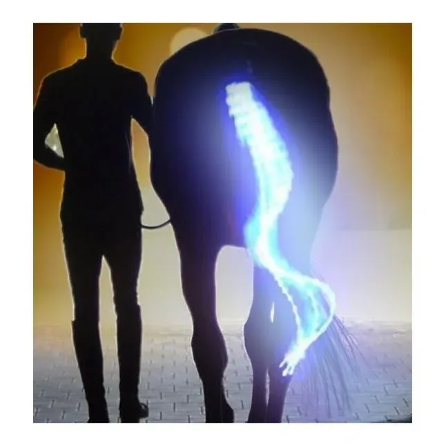 Animal Light LED Schweifbeleuchtung Long 2.0 - blau - Glacier-deepsea -