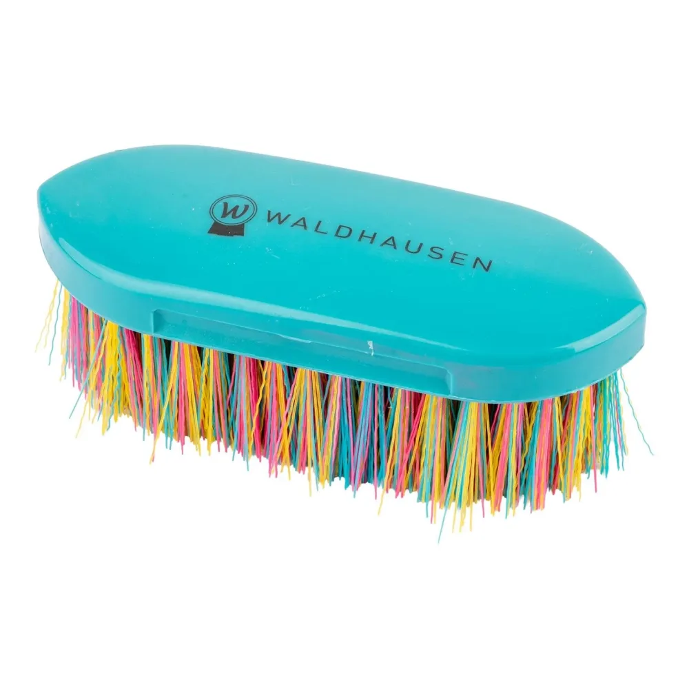 Waldhausen Wurzelbürste Rainbow - Regenbogen -