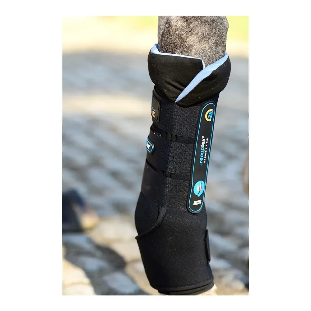 Kentucky Stallgamaschen Magnet Recuptex,  Paar - Schwarz/Hellblau -