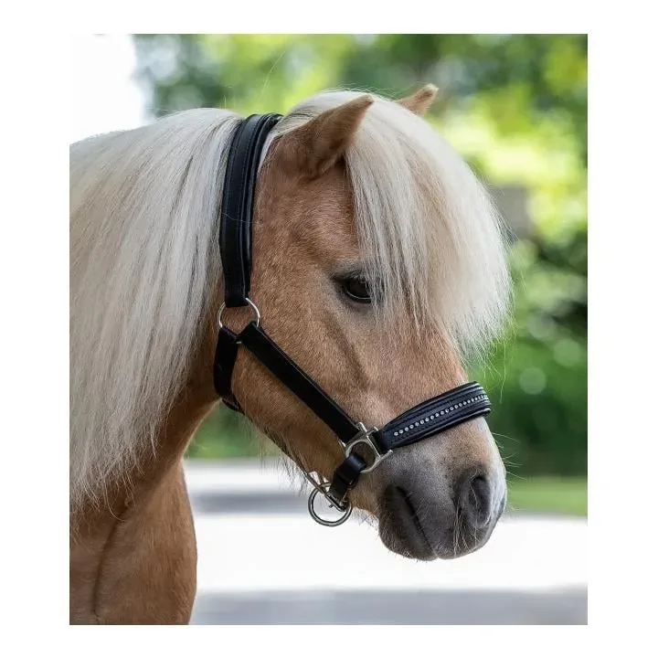 Star Lederhalfter Diamond - schwarz Farbe: Schwarz, Grösse Pferd: Pony