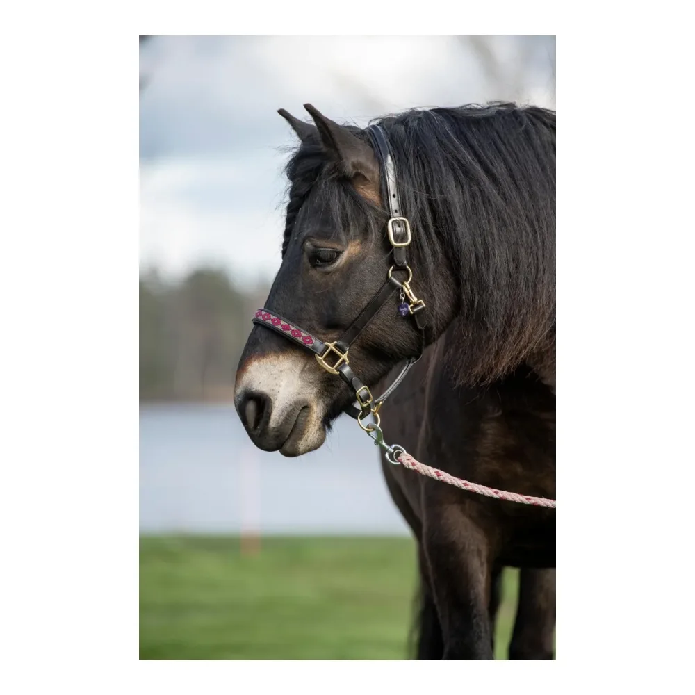 Soulhorse Lederhalfter Pearls - Berry/Bordeaux -  Grösse: Shetty, Farbe: Berry/Bordeaux