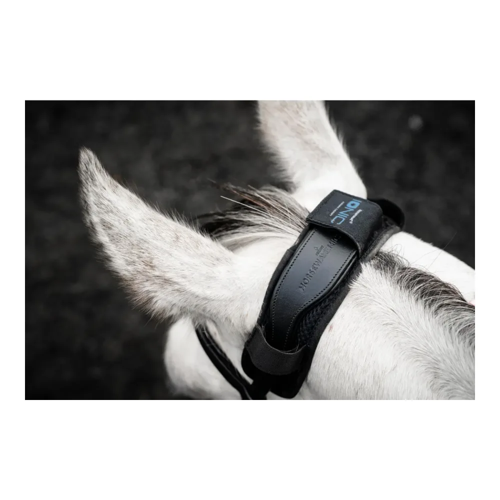 Horseware Ionic Poll Cover - Black -