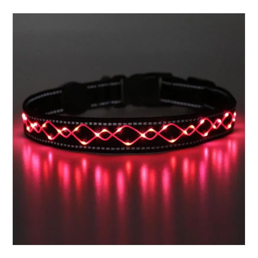 Animal Light Leucht-Hundehalsband 