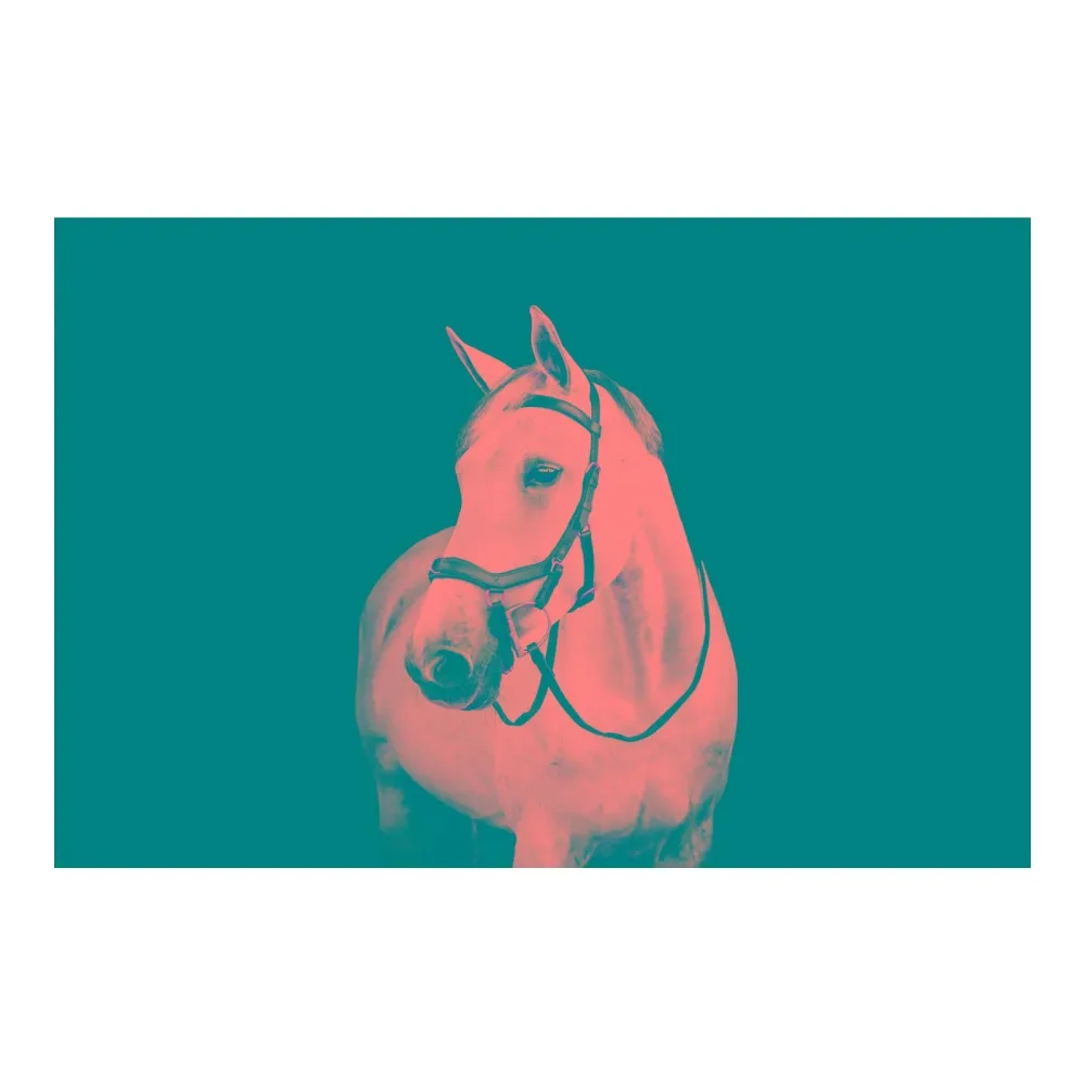 Horseware Zaum Micklem Multi - Schwarz -  Grösse Pferd: Full