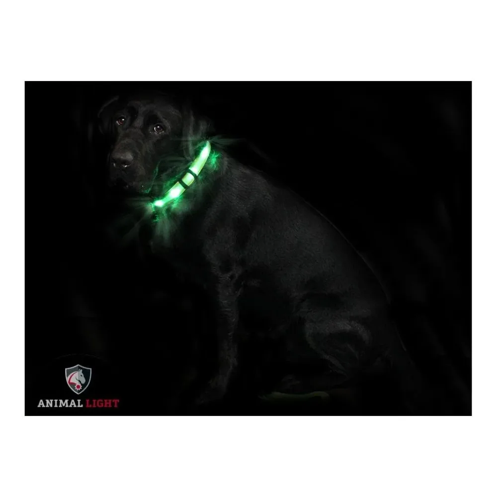 Animal Light Leucht - Hundehalsband 