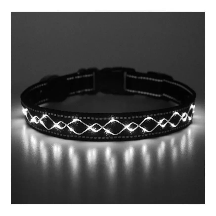 Animal Light Leucht-Hundehalsband 